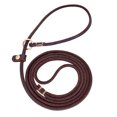 thumbnail image 1 of Pet Artist Dog Slip Leash Small Dog Pet Puppy Leather Training Walking Leashes 4ft 5ft, 1 of 10