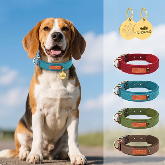 Pet Artist Durable Nylon Dog Collar and ID Tag Personalized Name Address Number Soft Webbing for Small/Medium/Large Breeds