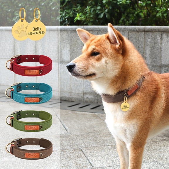Pet Artist Durable Nylon Dog Collar and ID Tag Personalized Name Address Number Soft Webbing for Small/Medium/Large Breeds