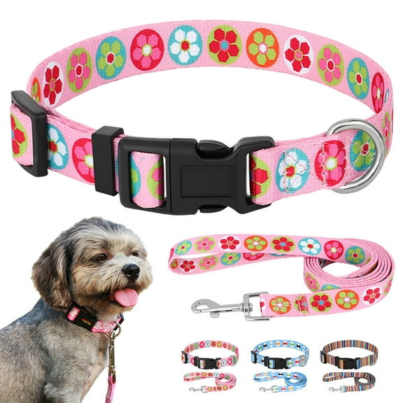 Pet Artist Fashion Floral Adjustable Nylon Dog Collar and Leash Set for Small Medium Dogs Chihuahua Yorkie