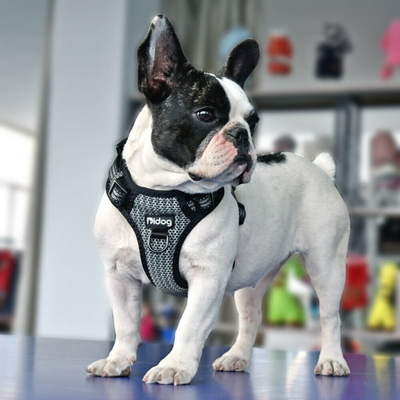 Pet Artist Front Leading Dog Harness Reflective Adjustable Pet Breathable Mesh Vest for Jack Russell French Bulldog