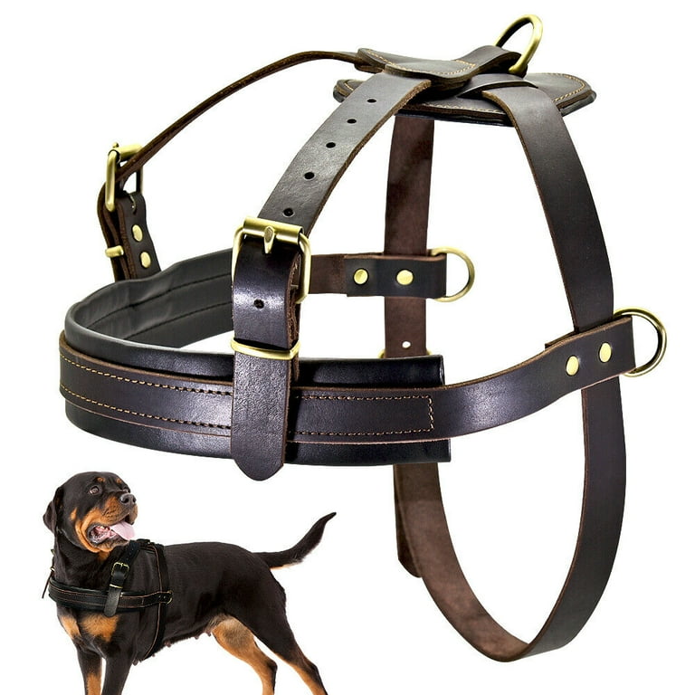Pet Artist Genuine Leather Dog Harness Bike Sled Weight Pulling