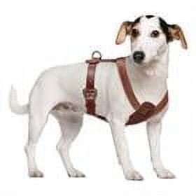 Pet Artist Genuine Leather Dog Harness Heavy Duty Training Adjustable for Bulldog Pitbull