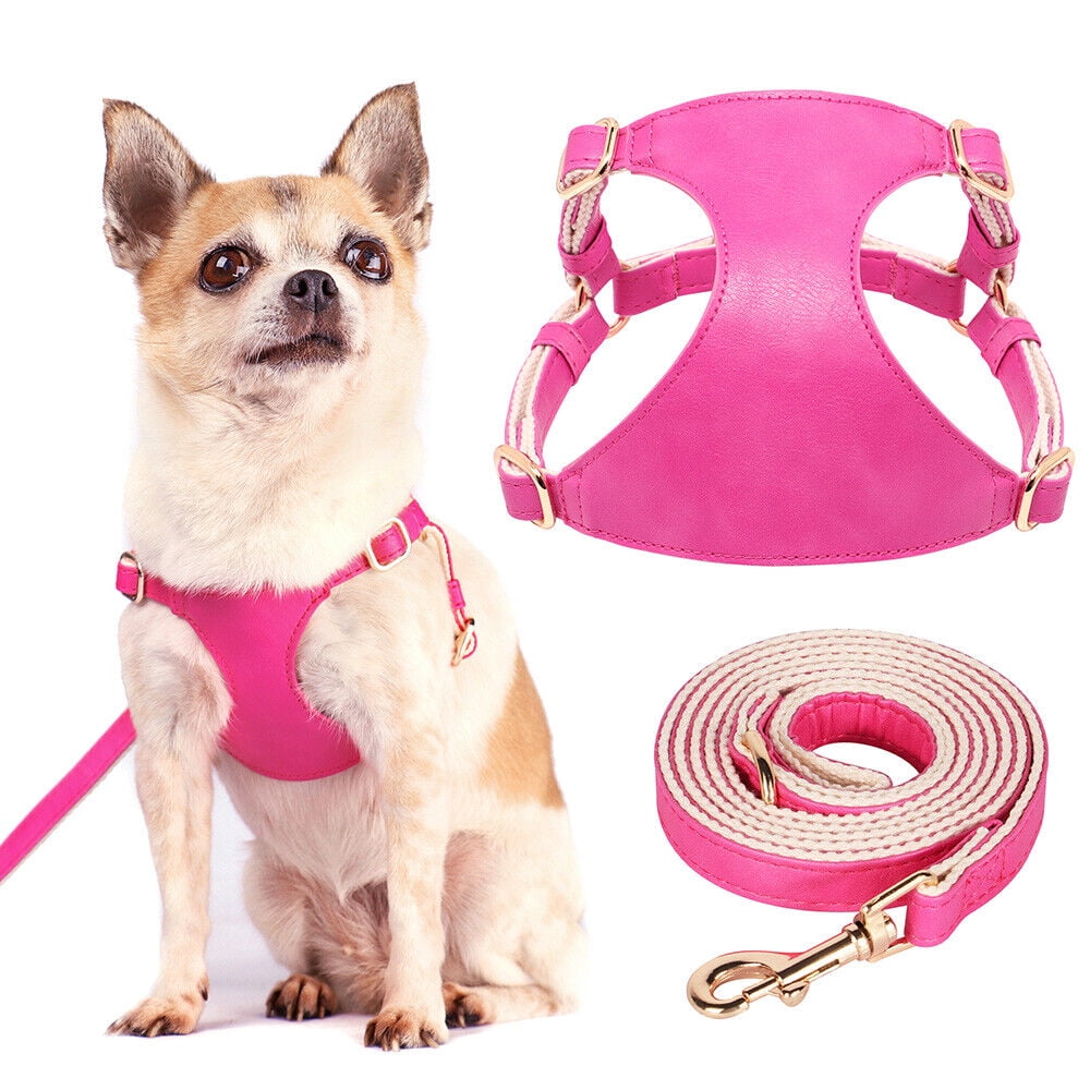 Chihuahua Pink Puppy Harness And Lead Set Pet Artist Genuine