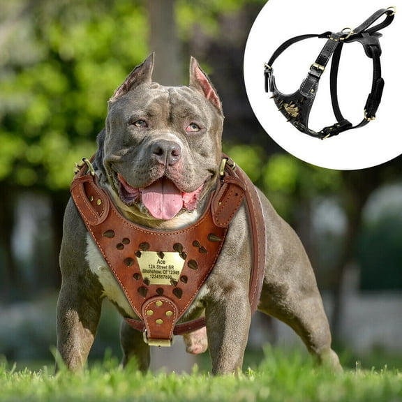 Pet Artist Genuine Leather Dog Harness with Personalized Nameplate Spiked Studded Pitbull