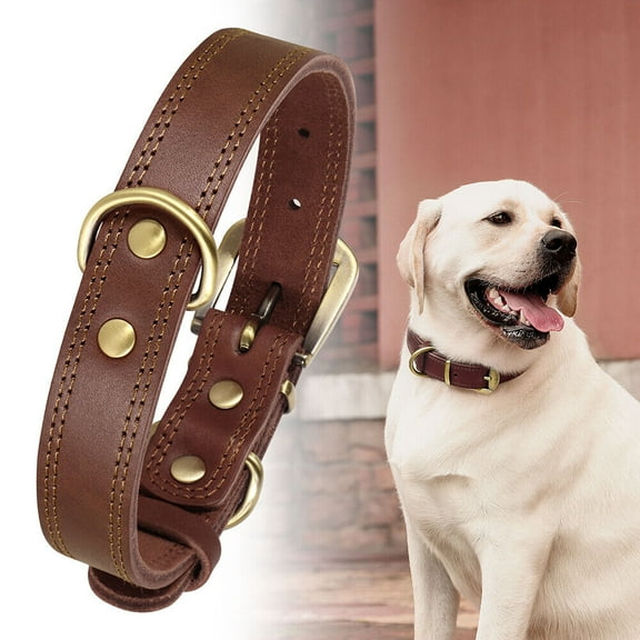 Pet Artist Genuine Leather Pet Dog Collars Heavy Duty Adjustable for Small Medium Large Dogs with Brass Buckle