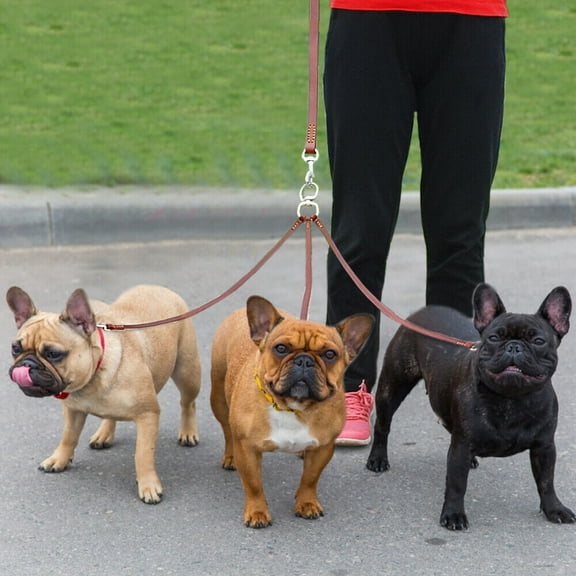 Pet Artist Genuine Leather Triple Dog Leash Couple 3 Way Pet Walking Leashes Brown for 3 Dogs