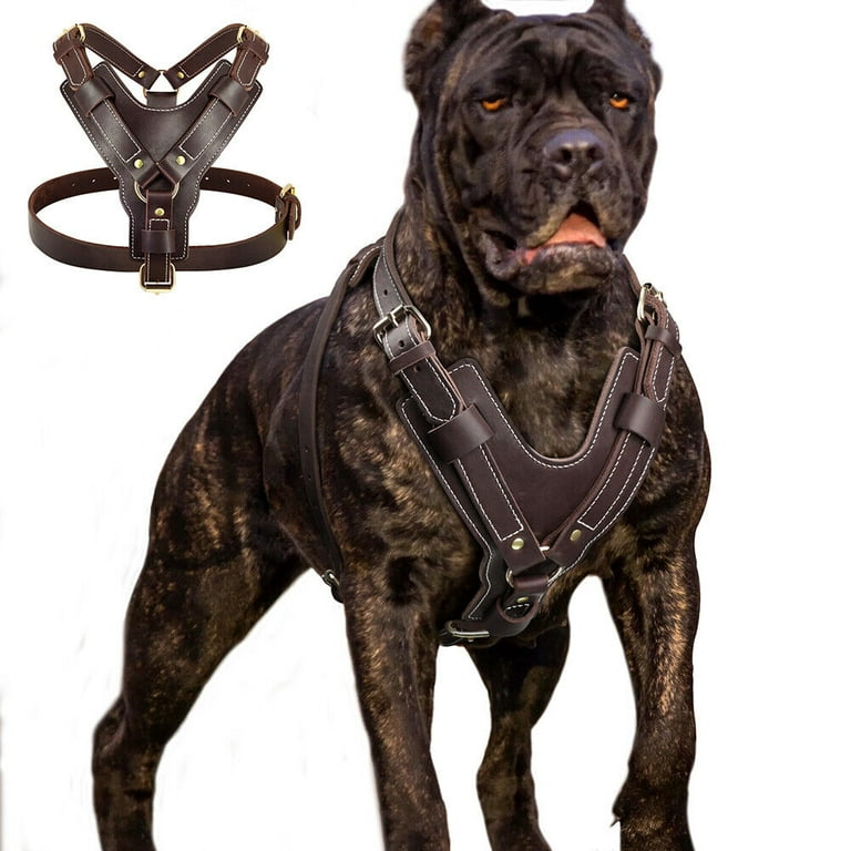 Pet Artist Heavy Duty Genuine Leather Dog Harness Adjustable for Large Dogs Pitbull Rottweiler High Quality Walmart