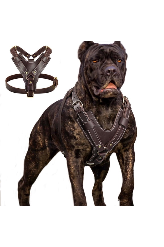 Heavy Duty Genuine Leather Dog Harness Adjustable for Large Dogs Pitbull Rottweiler High Quality