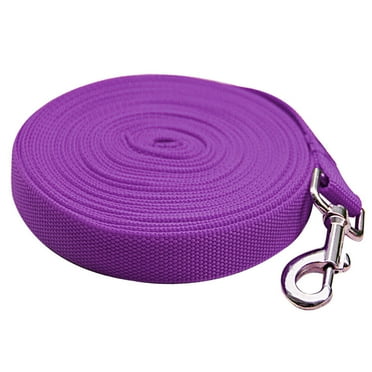 Pet Artist Long Dog Training Lunge Leash Webbing Line Leashes Recall Obedience Rope