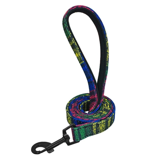 Snapshot of Padded Pet Leashes For Walking Comfort