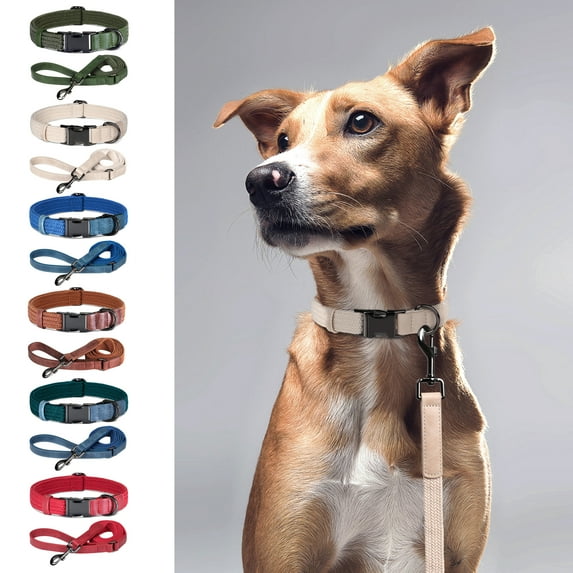 Pet Artist Luxury Durable Leather and Nylon Braided Dog Collar and Leash set Adjustable Pet Neck Strap with Metal Buckle 6 Colors