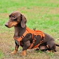 thumbnail image 1 of Pet Artist No Pull Dog Harness Escape Proof Reflective Adjustable Sport Vest with Handle Waterproof, 1 of 11