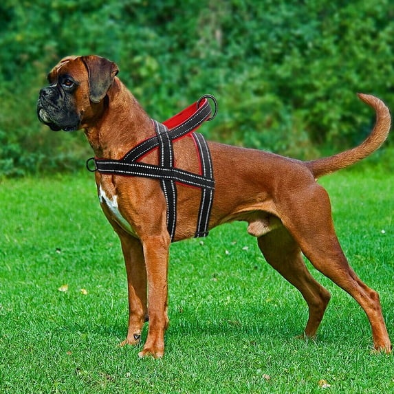 Pet Artist No Pull Dog Pet Harness Reflective Adjustable Nylon Padded Chest Vest with Handle