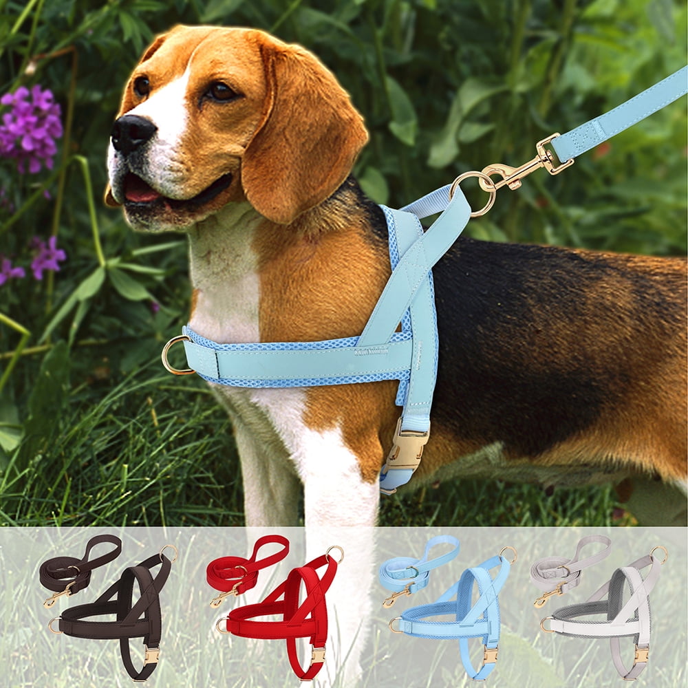 Pet Artist No-Pull Pet Harness and Leash Set, Breathable Mesh & Padded Vest, Front Clip, Adjustable PU Leather with Metal Buckle for Small to Large Dogs