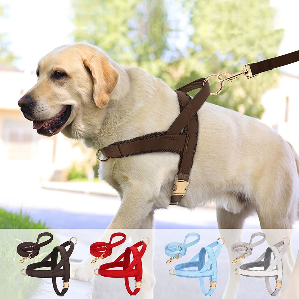 Pet Artist No-Pull Pet Harness and Leash Set, Breathable Mesh & Padded Vest, Front Clip, Adjustable PU Leather with Metal Buckle for Small to Large Dogs