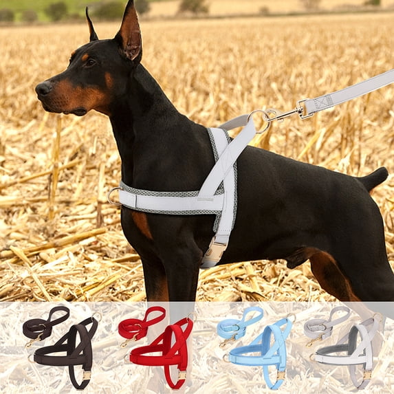 Pet Artist No-Pull Pet Harness and Leash Set, Breathable Mesh & Padded Vest, Front Clip, Adjustable PU Leather with Metal Buckle for Small to Large Dogs