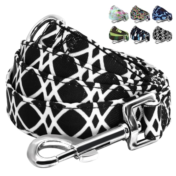 Pet Artist Nylon Pet Dog Leash Durable Cat Puppy Walking Leashes with Mesh Padded Handle for Small Medium Dogs