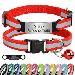 Breakaway cat collars walmart hot sale