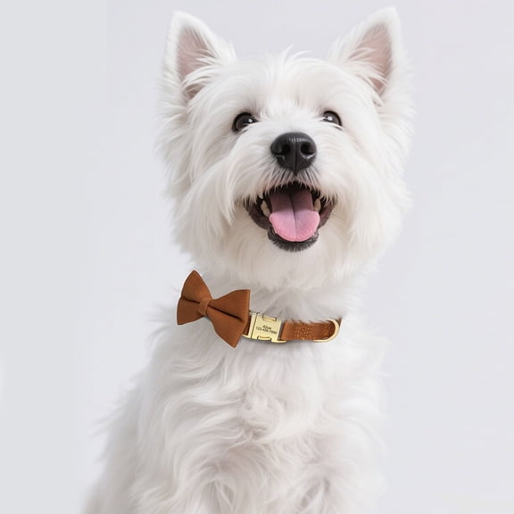 Pet Artist Personalized Dog Collar with Bow Tie - Custom Engraved Name & Phone Number - Adjustable Puppy Collars with Gold Buckle for Small Medium Dogs