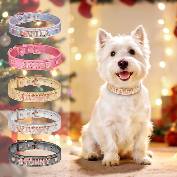 Pet Artist Personalized Dog Collar Glossy PU Leather with Rose Gold Name Letter and Charm,Adjustable Pet Collars for Extra Small Dogs,Gold,XS