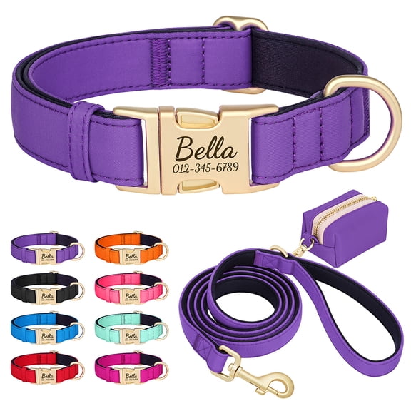 Pet Artist Personalized Dog Collar, Leash & Poo Bag Set, 3-Piece - Soft Padded Nylon, Waterproof, Engraved Name Buckle, Adjustable for Small, Medium, Large Dogs