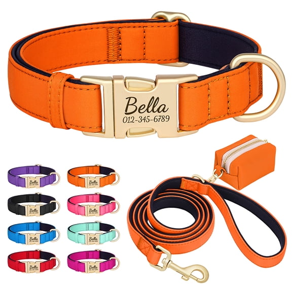 Pet Artist Personalized Dog Collar, Leash & Poo Bag Set, 3-Piece - Soft Padded Nylon, Waterproof, Engraved Name Buckle, Adjustable for Small, Medium, Large Dogs