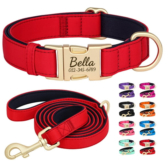 Pet Artist Personalized Dog Collars and Leash set Durable Nylon Soft Padded Waterproof ID Name Metal Buckle Engraved Adjustable for Small/Medium/Large Breeds