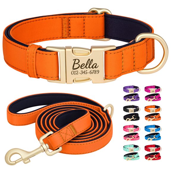 Pet Artist Personalized Dog Collars and Leash set Durable Nylon Soft Padded Waterproof ID Name Metal Buckle Engraved Adjustable for Small/Medium/Large Breeds