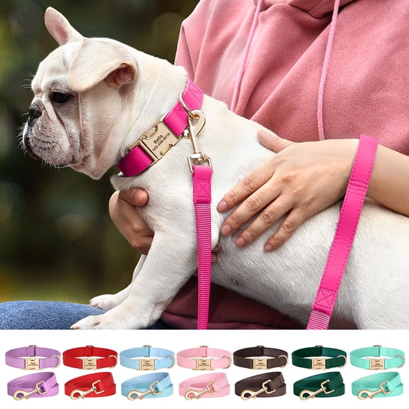 Pet Artist Personalized PU Leather Dog Collar and Matching Leash set Custom ID Metal Buckle Pet Name / Number Adjustable for Small Large Breeds