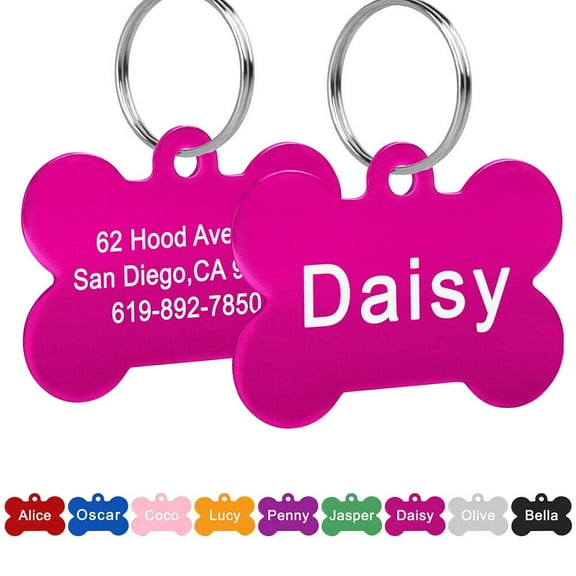 Pet Artist Personalized Pet Name ID Tags for Dog, Custom Double Sided Engraved Bone Shape