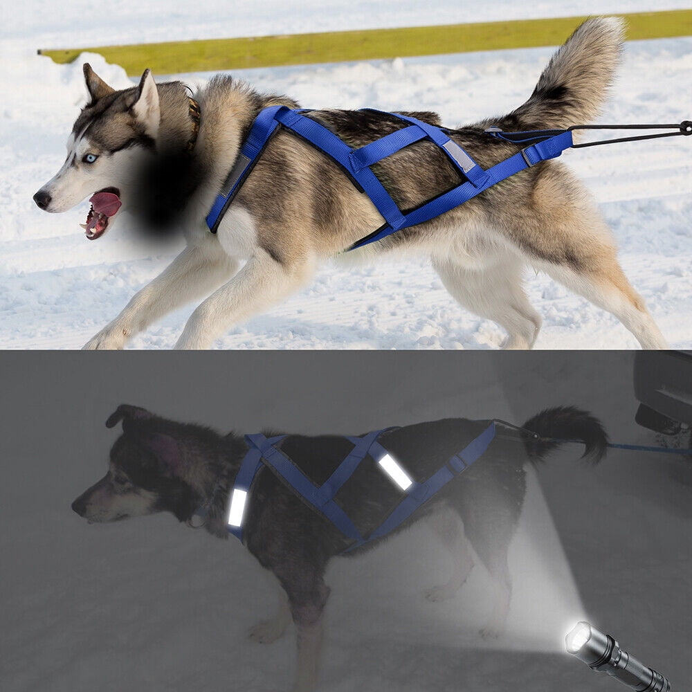 Pet Artist Pet Dog Weight Pulling Harness Reflective Training Sledding Vest Adjustable for Medium Large Breeds Rottweier Mastiff Pitbull
