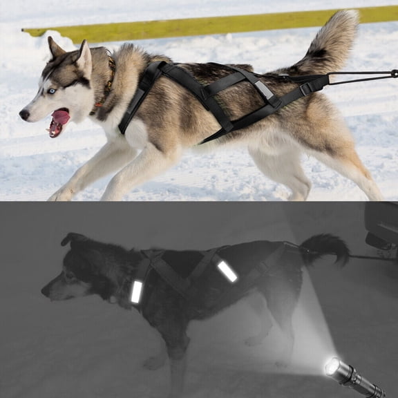 Pet Artist Pet Dog Weight Pulling Harness Reflective Training Sledding Vest Adjustable for Medium Large Breeds Rottweier Mastiff Pitbull