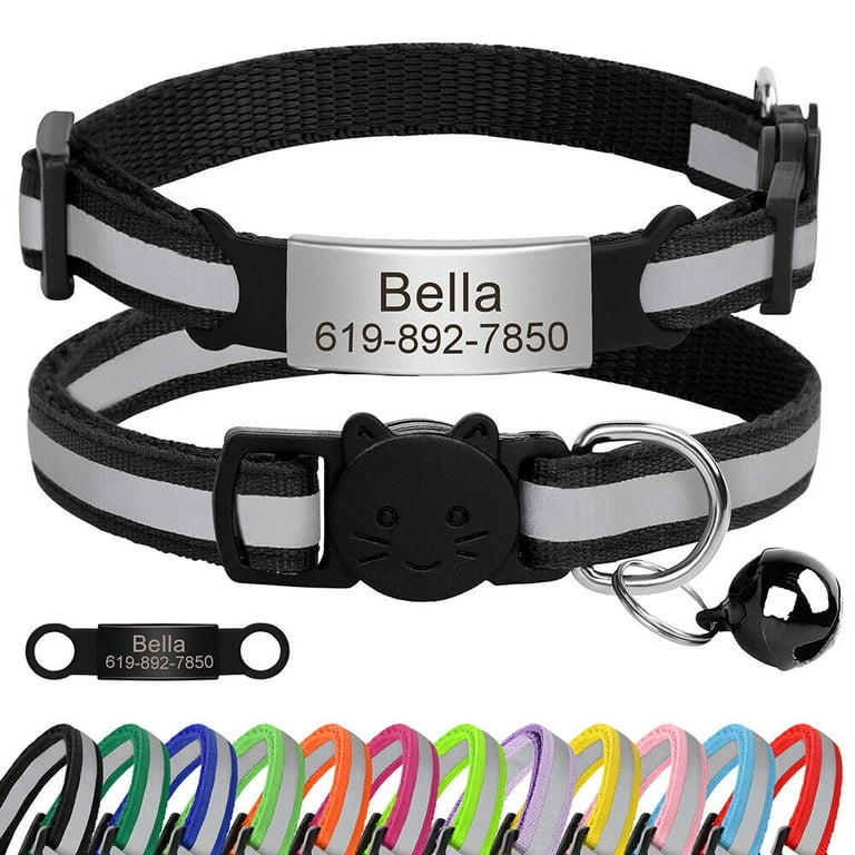 Kitten collar with name hotsell