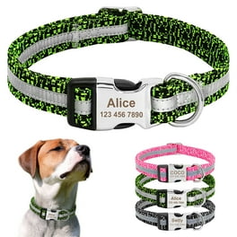 Custom yorkie collars hotsell