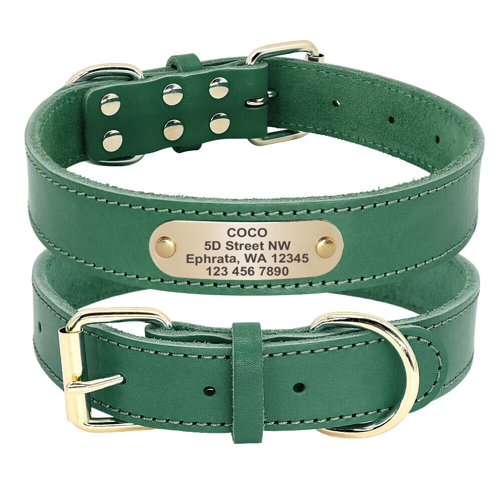 Custom Leather Dog Collar & Leash Set - Personalized With Your Pet's Name
