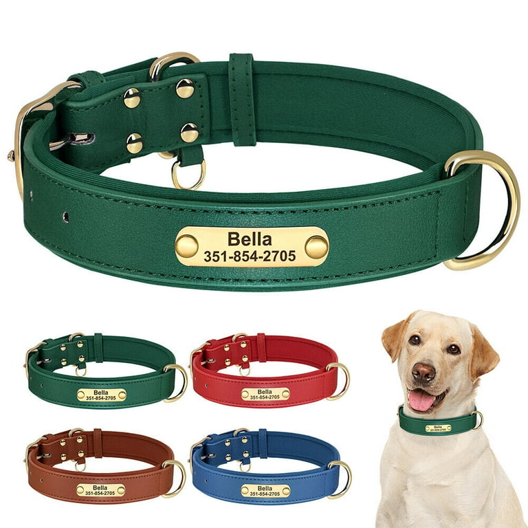 Pet Artist Soft Padded Dog Leather Collar Personalized Pet Name ID