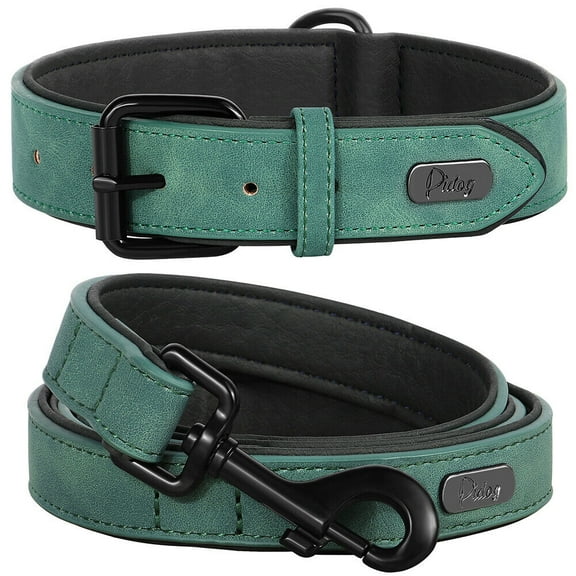 Pet Artist Soft Velvet Leather Dog Collar & Leash set Padded Adjustable for SMALL LARGE PET
