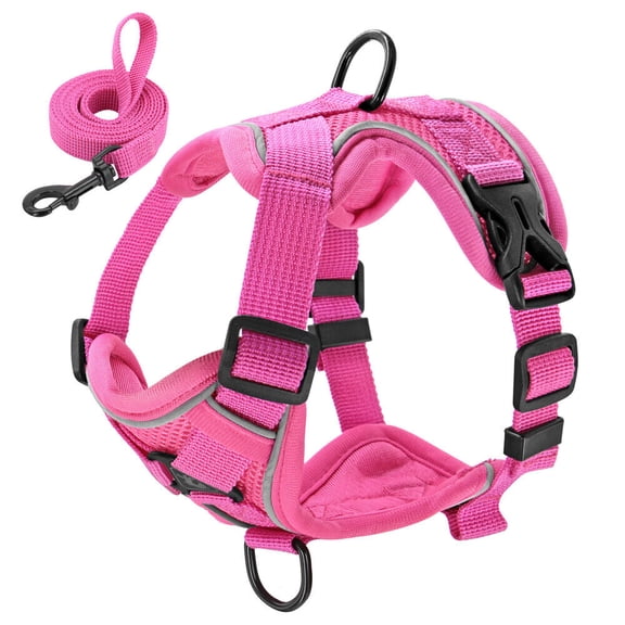Pet Artist Step In Dog Harness and Walking Leash Set Reflective Mesh Pet Cat Puppy Chest Strap Vest