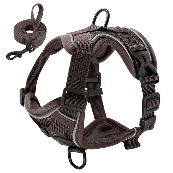 Pet Artist Step In Dog Harness and Walking Leash Set Reflective Mesh Pet Cat Puppy Chest Strap Vest