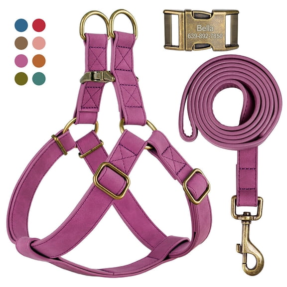 Pet Artist Step-in Dog Harness & Leash Set Personalized with Name & Number- Soft Leather Dog Harness with Heavy Duty Metal Buckle, Adjustable Vest for Medium & Large Dogs for Easy Walking & Training