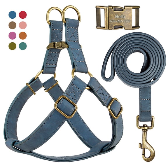 Pet Artist Step-in Dog Harness & Leash Set Personalized with Name & Number- Soft Leather Dog Harness with Heavy Duty Metal Buckle, Adjustable Vest for Medium & Large Dogs for Easy Walking & Training