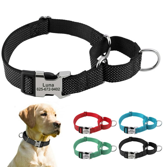 Pet Artist Training Martingale Big Dog Collar Reflective Customized Metal Buckle Name Engraved No Choke