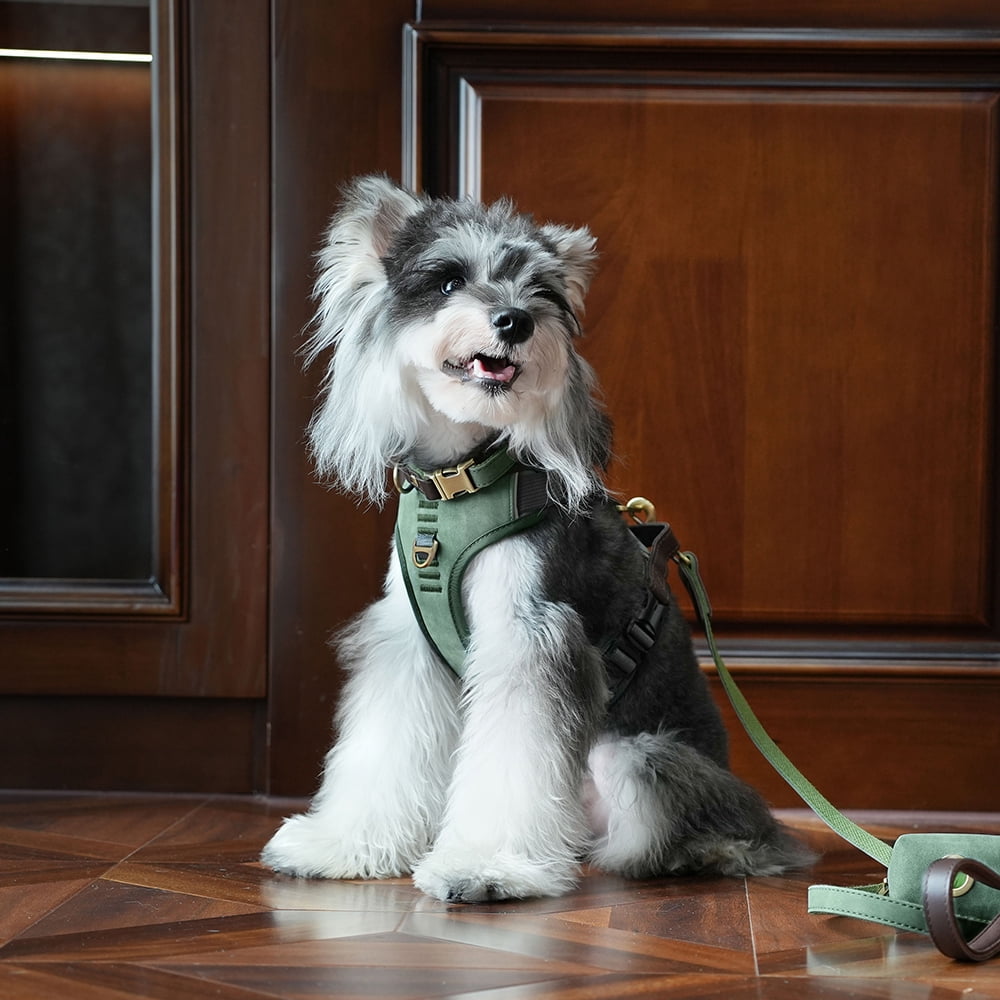 Pet Artist Vintage Dog Harness No Pull Dog Vest Harness with Easy Control Handle, PU Leather,Breathable Padded Dog Chest Harness Adjustable for Small Dogs,Green,S