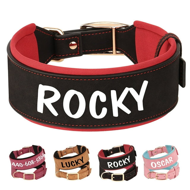 Pet Artist Wide Leather Padded Dog Collar Personalized with Name Rottweiler Labrador M-XL