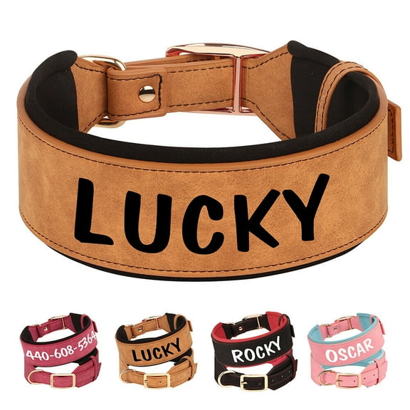 Pet Artist Wide Leather Padded Dog Collar Personalized with Name Rottweiler Labrador M-XL