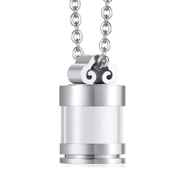 Pet Ashes Necklace Locket Necklace for Pet Mom Locket for Ashes/Hair Clear Cylinder Necklace for Ashes/Hair