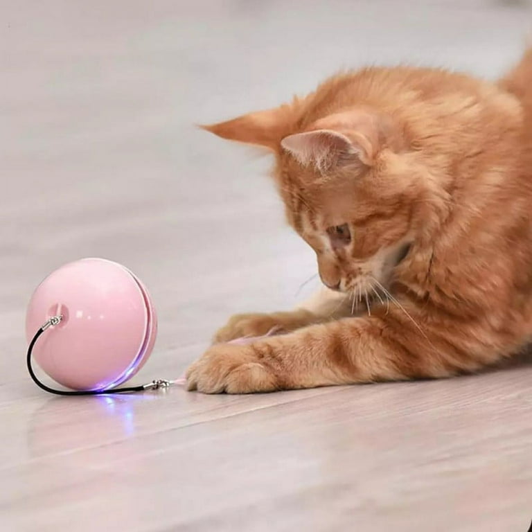 https://i5.walmartimages.com/seo/Pet-Automatic-Ball-Yarn-Cat-Toy-Smart-Interactive-Toys-Colorful-LED-Self-Rotating-Bell-Feather-USB-Rechargeable-Dog_ec8b7c43-2d62-43df-b6b9-1acb91896d6c.8468988fa8a56a6bc7d94775765db662.jpeg?odnHeight=768&odnWidth=768&odnBg=FFFFFF