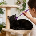 thumbnail image 1 of Pet Back Scratcher Extendable,Dog Grooming Brush with Anti-Slip Handle,Telescoping Cat Hair Comb for Cat Dog Big/Small Animal(Purple), 1 of 6