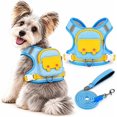 Pet Backpack Harness & Leash Set, Built-in Storage for Everyday Dog ...